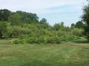 Gardens 2016